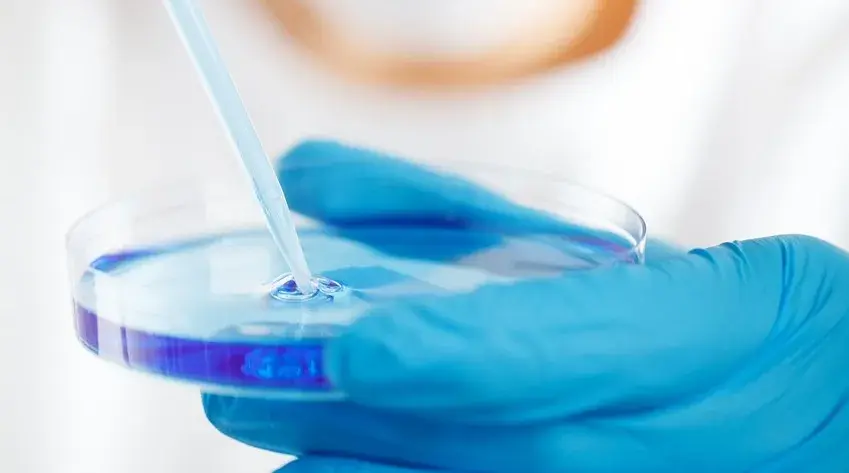 technicien avec une boîte de Pétri